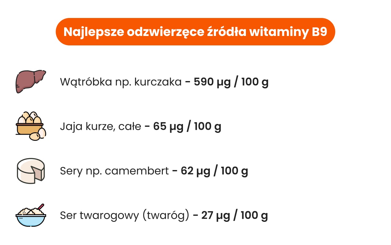Najlepsze odzwierzęce źródła witaminy B9