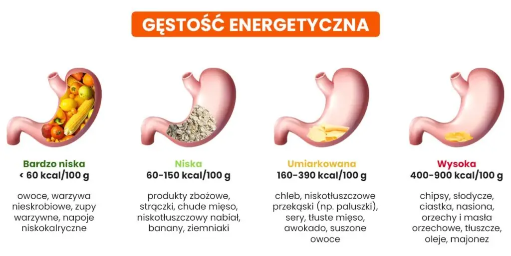 informacje na temat gęstości energetycznej posiłków