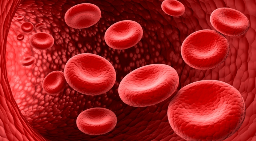 trójglicerydy norma