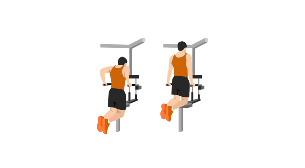 Chest Dips - Pompki na poręczach na klatkę piersiową