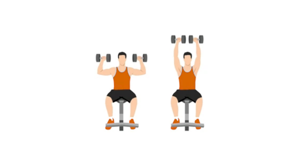 Seated Alternating DB Shoulder Press - Naprzemienne wyciskanie hantli nad głowę siedząc