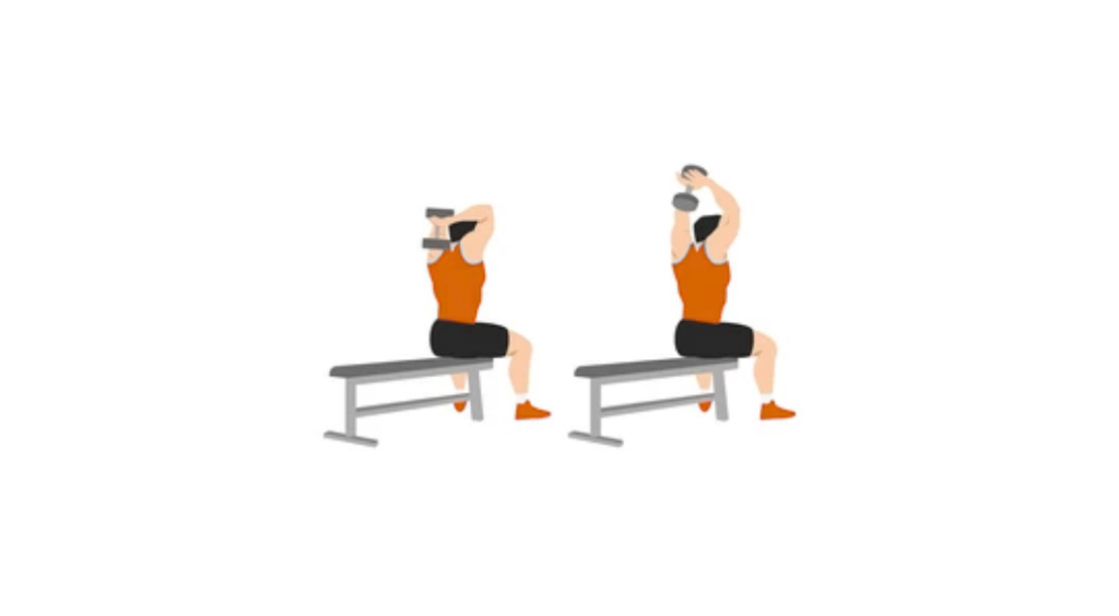 Overhead Tricep Extenstions - Prostowanie ramion nad głową