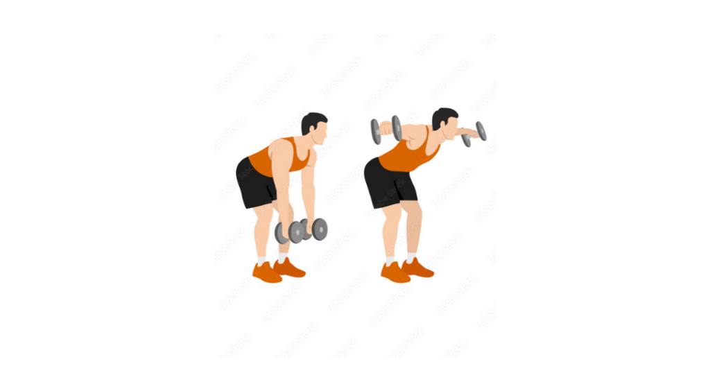 Bent Over DB Rear Delt Raises - Pochylone unoszenie hantli na tylny akton barków