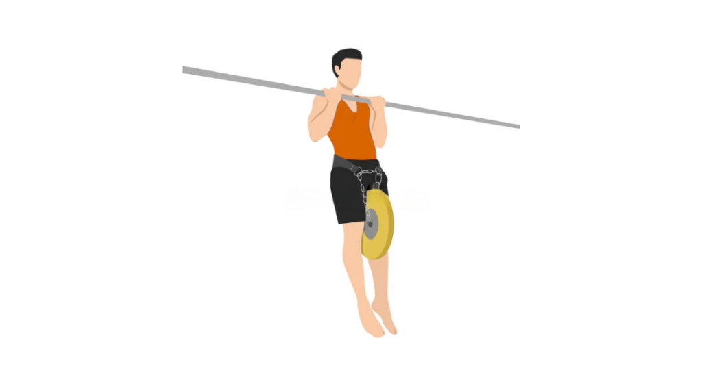 Weighted Chin up - Podciąganie z obciążeniem podchwytem