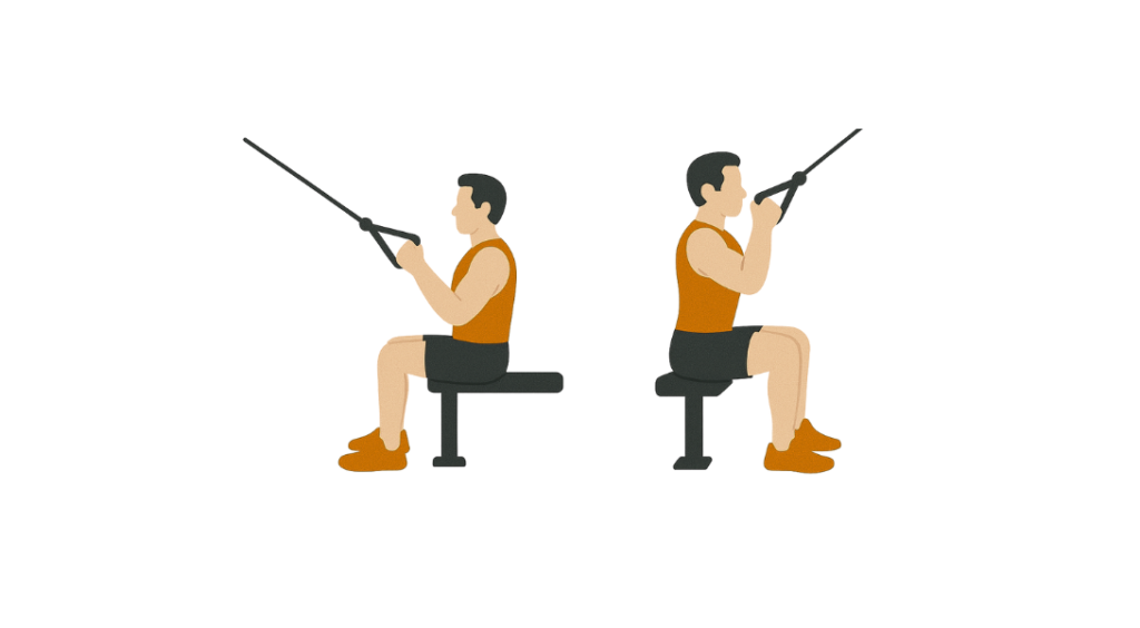 Seated Face Pull - Ściąganie liny do twarzy siedząc