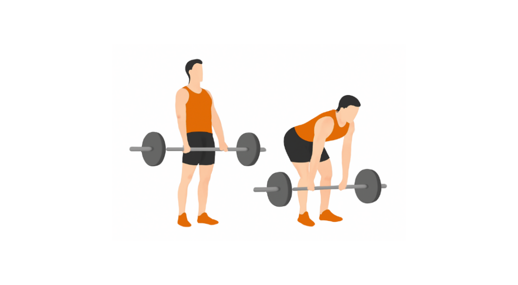 Stiff Leg Deadlift - Martwy ciąg na prostych nogach