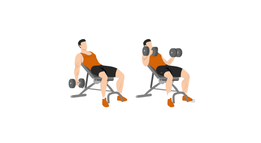 Incline DB Bicep Curl - Uginanie ramion z hantlami na ławce skośnej