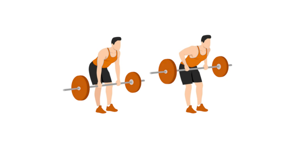 Parallel BB Row - Wiosłowanie sztangą równoległym chwytem